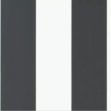 Spalding stripe black/white image
