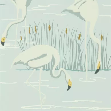 Salinas fågel tapet på blå bakgrund och ljusblå flamingo image