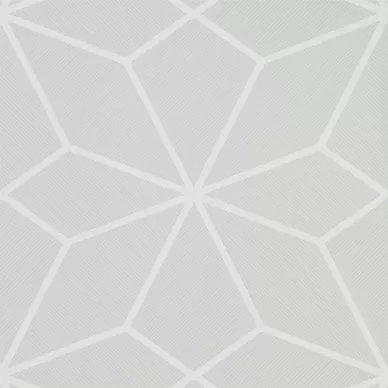 Geometrisk tapet Axal med vit linjer image