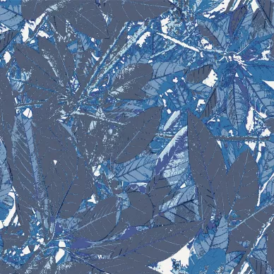Sandudd Leaf tapet på vit bakgrund med stora blad i blå och mörkblå kuva