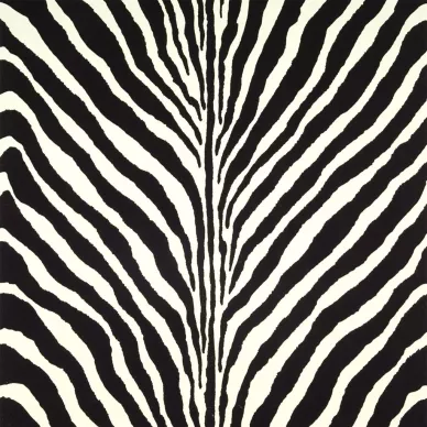 Bartlett Zebra Charcoal seepra raidallinen tapetti Ralph Laurenilta kuva