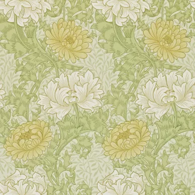 Chrysanthemum vihrea kukkatapetti Morris Pale Olive image
