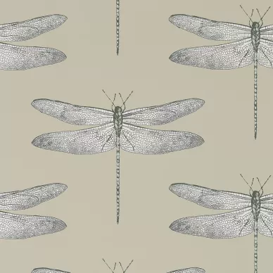 Demoiselle ruskea sudenkorentotapetti Harlequinilta 111241 image