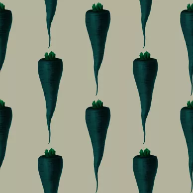 Carey Carrot vihrea porkkanatapetti Studio Lisa Bengtssonilta image