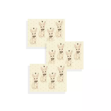 Paper Friends Bunnies kani somisteita Mrs Mighettolta image