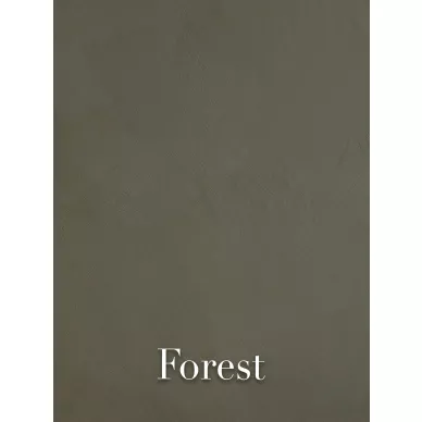 Forest Colours image